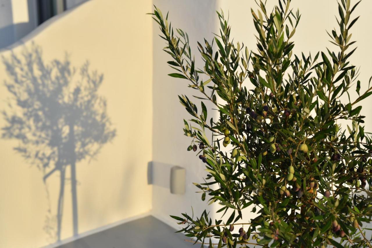 Crystal Mare Suites Naxos City Exterior foto